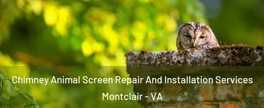  Chimney Animal Screen Repair And Installation Services Montclair - VA
