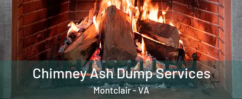  Chimney Ash Dump Services Montclair - VA