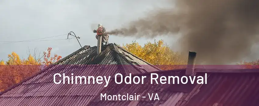  Chimney Odor Removal Montclair - VA