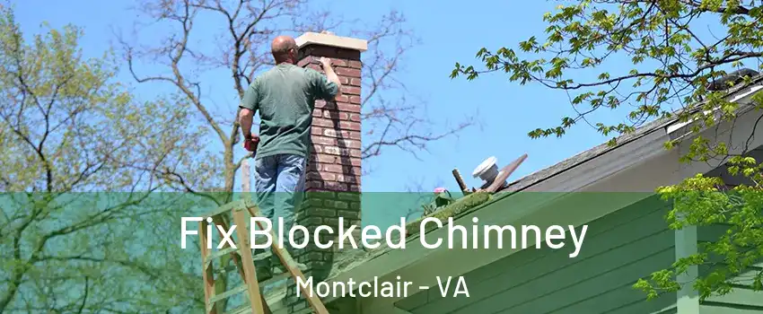  Fix Blocked Chimney Montclair - VA