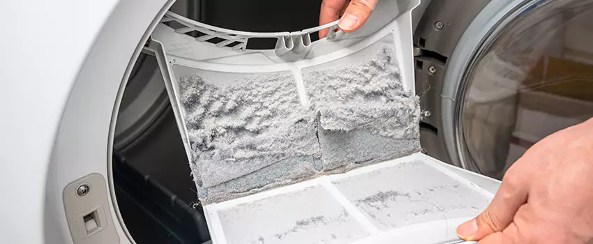 Best Dryer Lint Removal Company in Montclair, Virginia