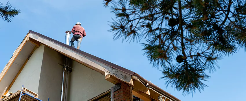 Birds Removal Contractors from Chimney in Montclair, VA