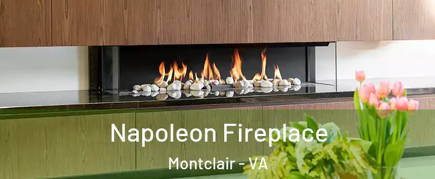  Napoleon Fireplace Montclair - VA